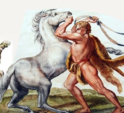 caballos diomedes Heracles